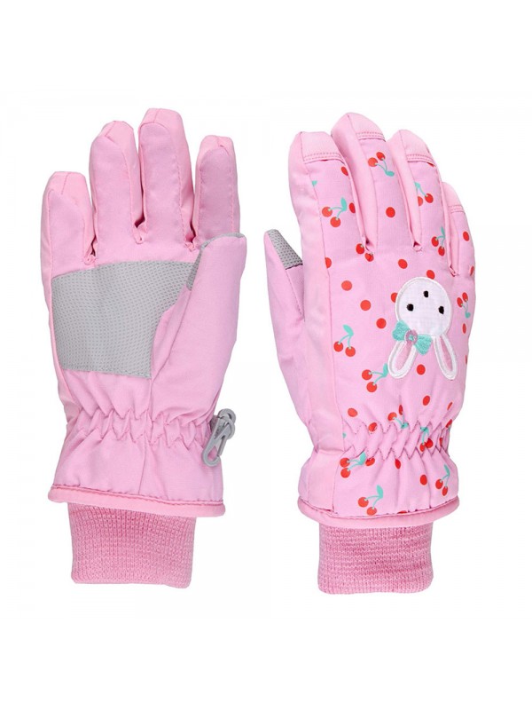 Ski Gloves